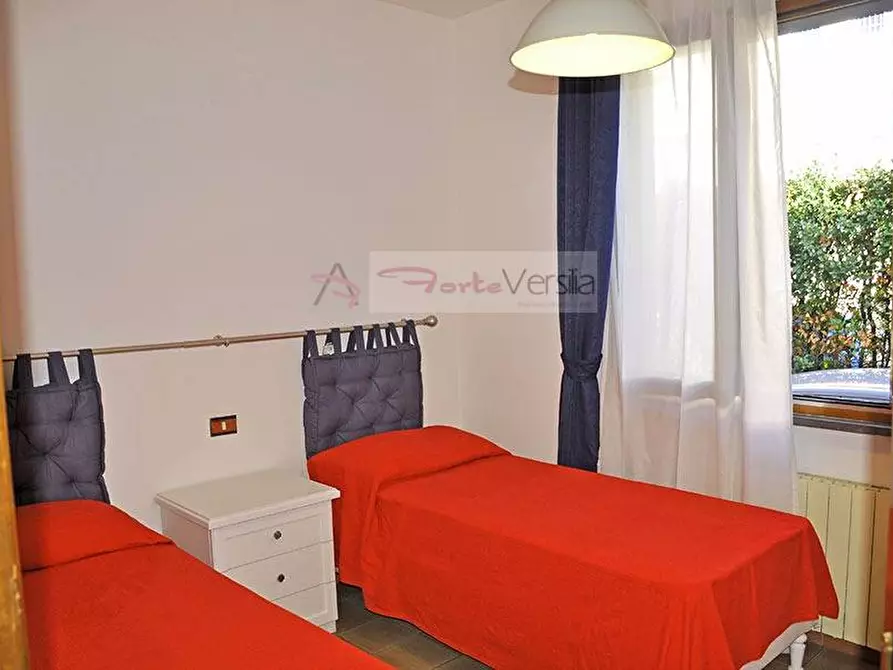 Immagine 11 di Appartamento in affitto  a Seravezza