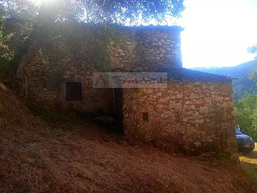 Immagine 7 di Rustico / casale in vendita  a Camaiore