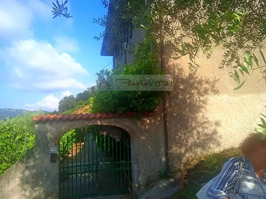 Immagine 2 di Rustico / casale in vendita  a Camaiore