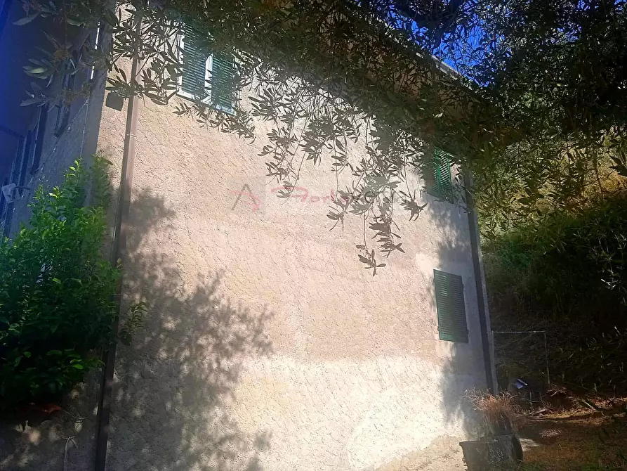 Immagine 5 di Rustico / casale in vendita  a Camaiore