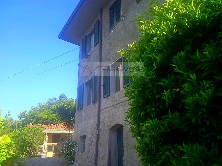Immagine 4 di Rustico / casale in vendita  a Camaiore
