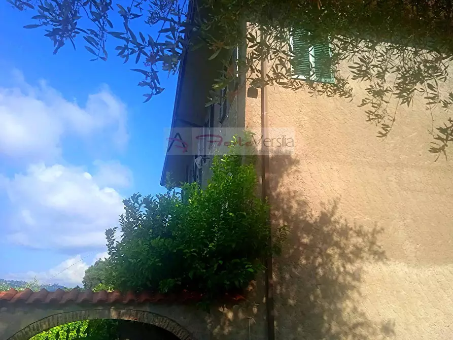 Immagine 6 di Rustico / casale in vendita  a Camaiore