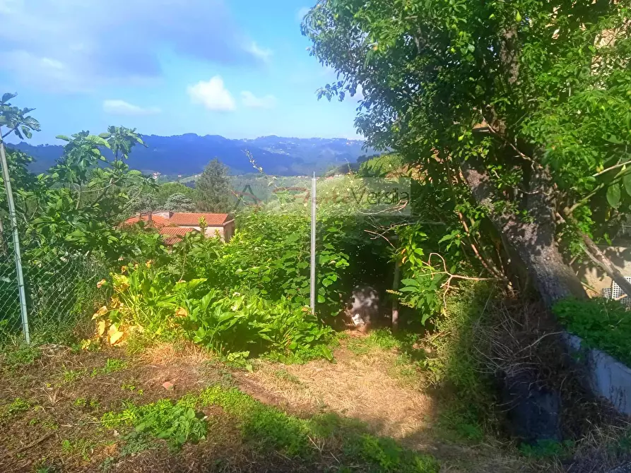 Immagine 8 di Rustico / casale in vendita  a Camaiore