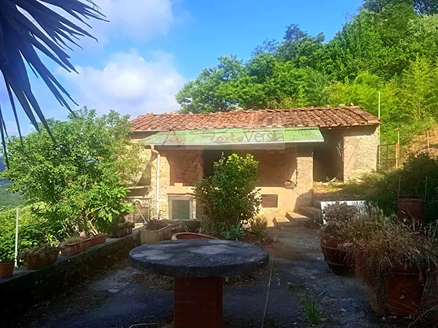 Immagine 9 di Rustico / casale in vendita  a Camaiore