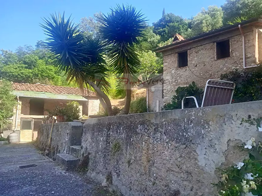Immagine 10 di Rustico / casale in vendita  a Camaiore