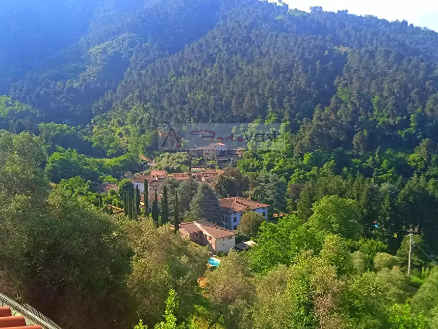 Immagine 16 di Rustico / casale in vendita  a Camaiore