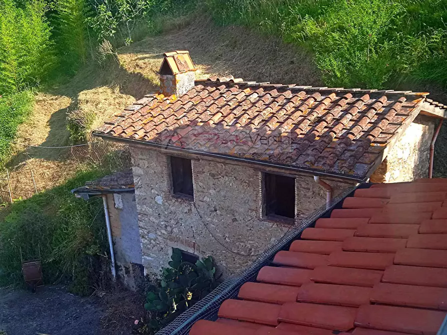 Immagine 12 di Rustico / casale in vendita  a Camaiore