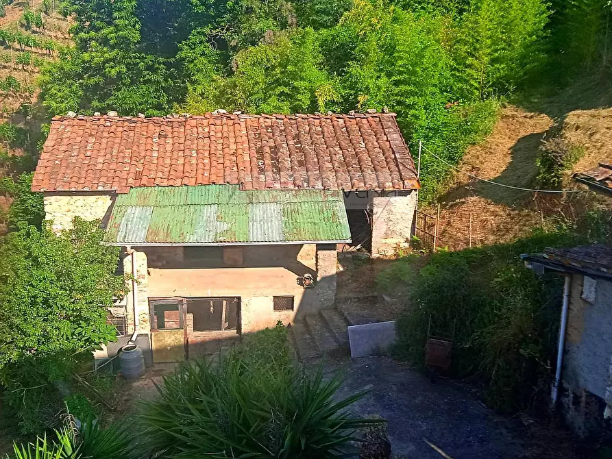 Immagine 13 di Rustico / casale in vendita  a Camaiore