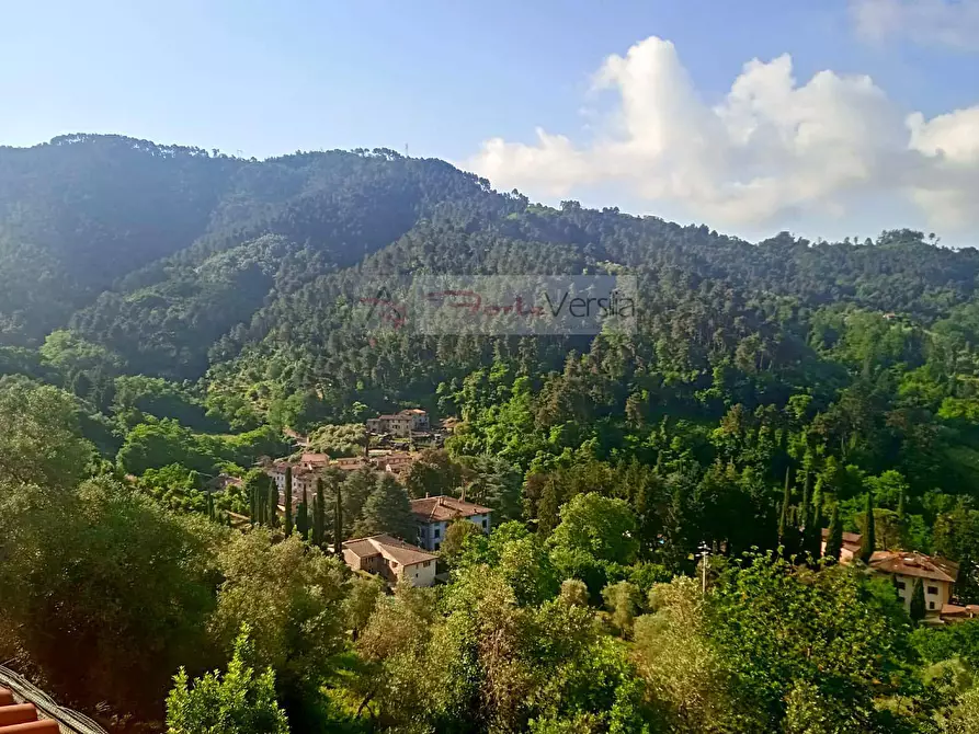 Immagine 24 di Rustico / casale in vendita  a Camaiore