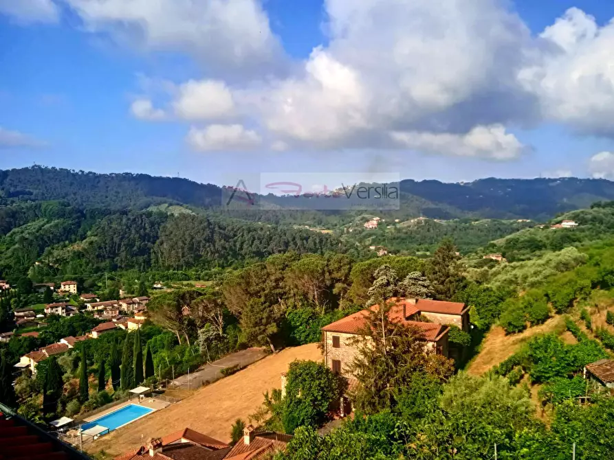 Immagine 15 di Rustico / casale in vendita  a Camaiore