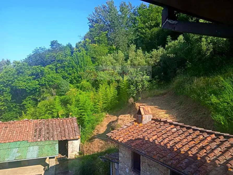 Immagine 18 di Rustico / casale in vendita  a Camaiore