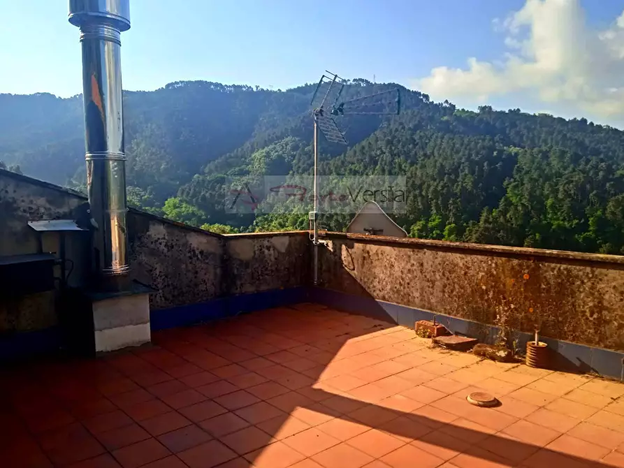 Immagine 20 di Rustico / casale in vendita  a Camaiore