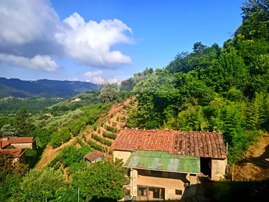 Immagine 23 di Rustico / casale in vendita  a Camaiore