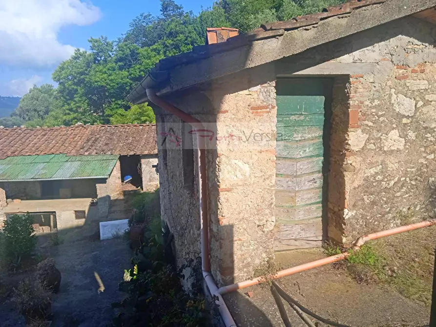 Immagine 19 di Rustico / casale in vendita  a Camaiore