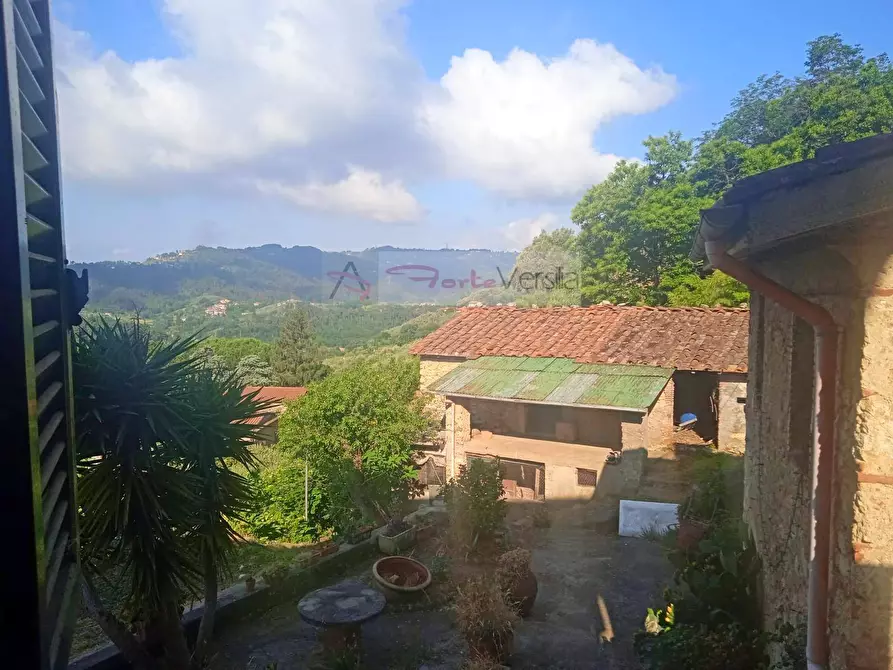 Immagine 26 di Rustico / casale in vendita  a Camaiore