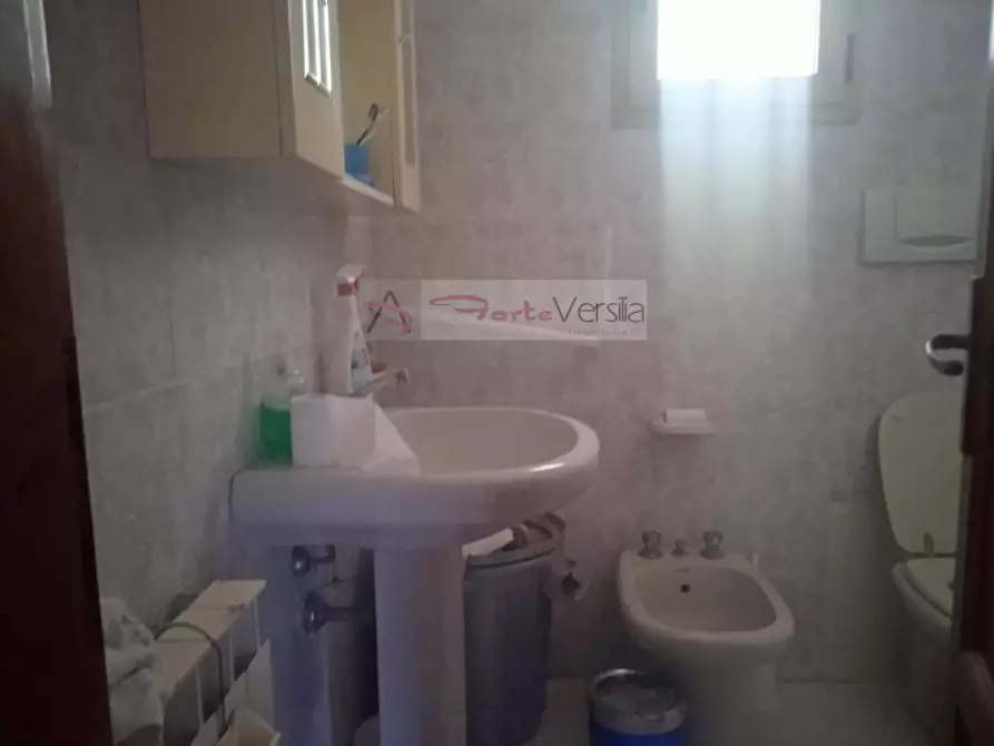 Immagine 27 di Rustico / casale in vendita  a Camaiore