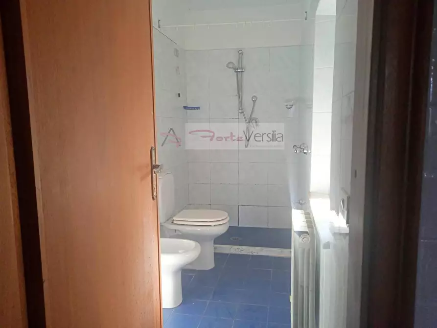 Immagine 29 di Rustico / casale in vendita  a Camaiore