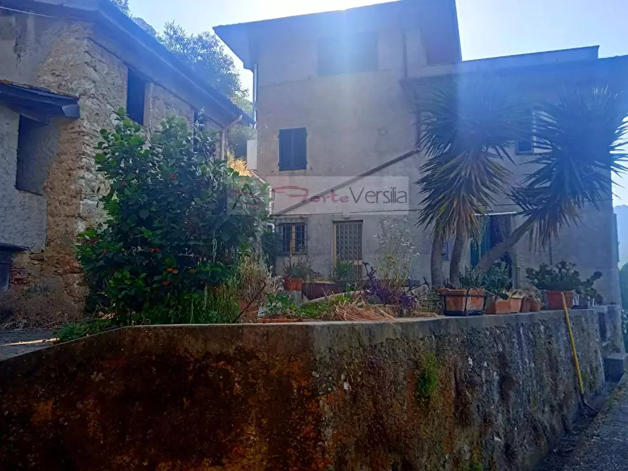 Immagine 1 di Rustico / casale in vendita  a Camaiore