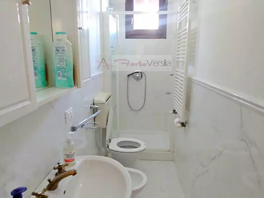 Immagine 5 di Villa in vendita  a Forte Dei Marmi