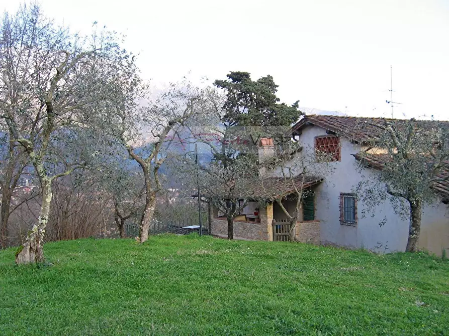 Immagine 30 di Villa in vendita  a Camaiore