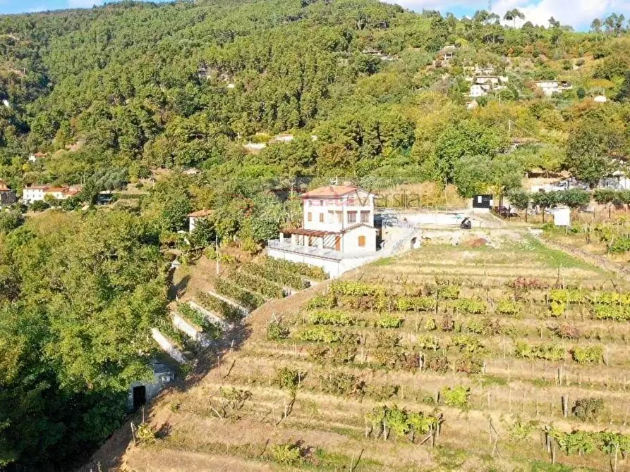 Immagine 7 di Rustico / casale in vendita  a Pietrasanta