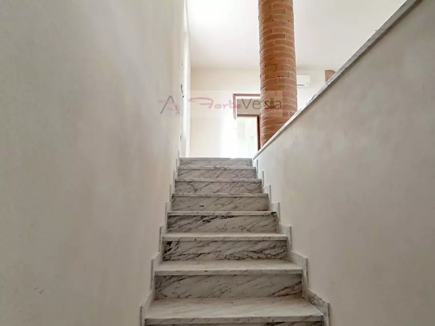 Immagine 28 di Villa in vendita  a Pietrasanta