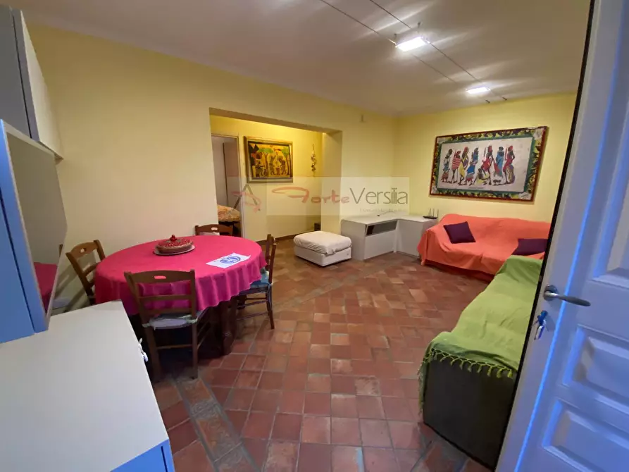 Immagine 21 di Appartamento in affitto  a Pietrasanta