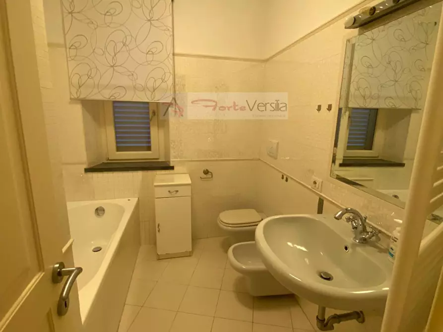 Immagine 22 di Appartamento in affitto  a Pietrasanta