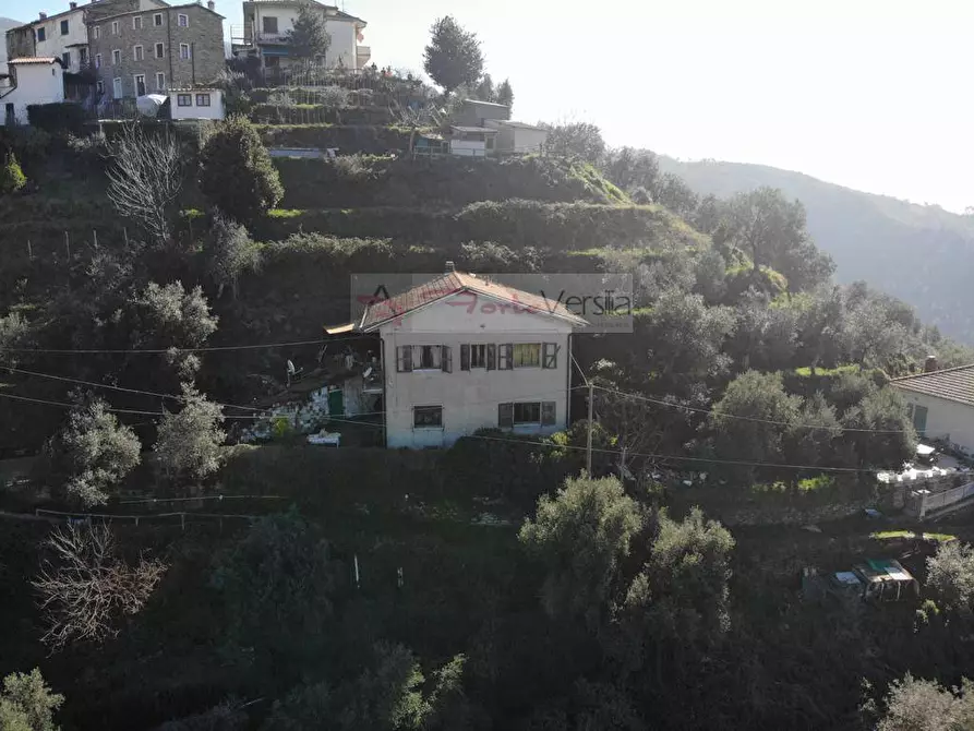 Immagine 4 di Rustico / casale in vendita  a Montignoso