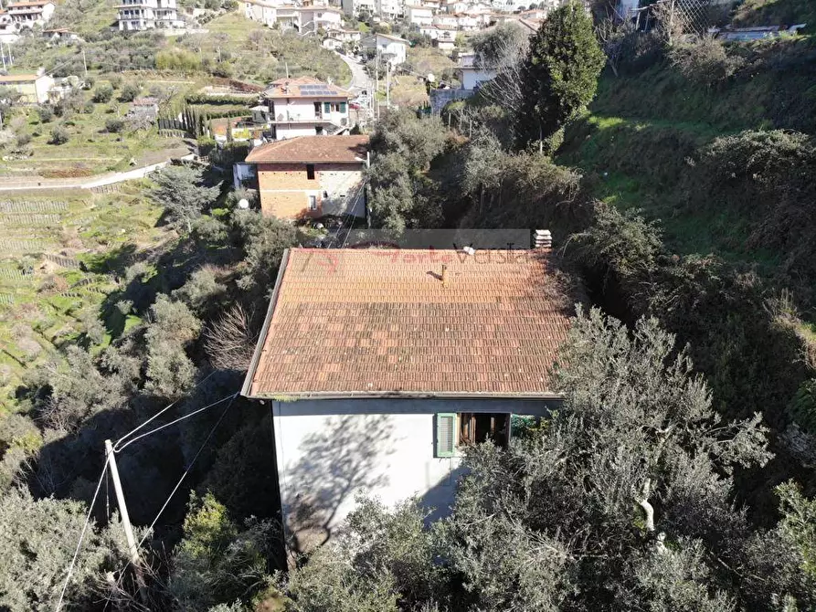 Immagine 3 di Rustico / casale in vendita  a Montignoso