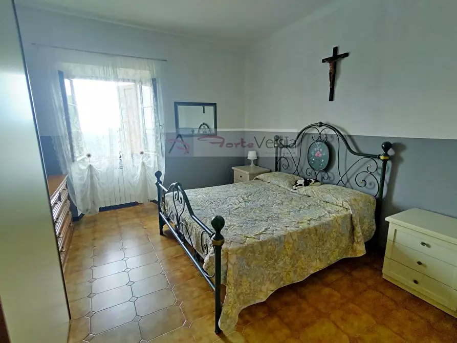 Immagine 22 di Rustico / casale in vendita  a Pietrasanta