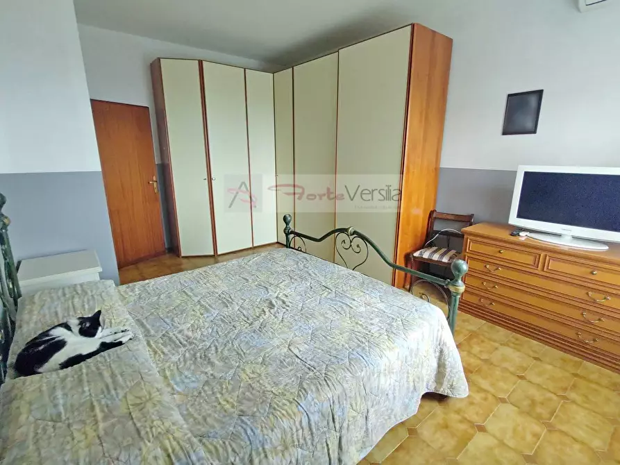 Immagine 24 di Rustico / casale in vendita  a Pietrasanta