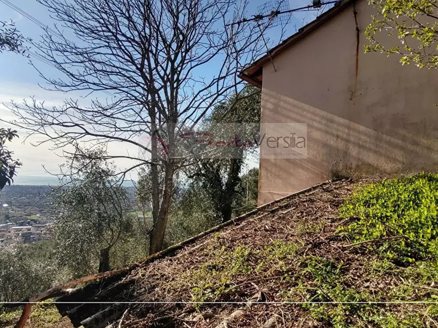Immagine 3 di Rustico / casale in vendita  a Pietrasanta