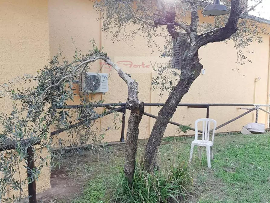 Immagine 6 di Rustico / casale in vendita  a Monsummano Terme