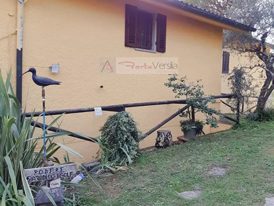 Immagine 4 di Rustico / casale in vendita  a Monsummano Terme