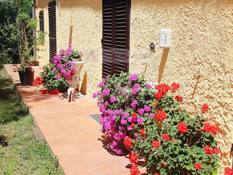 Immagine 3 di Rustico / casale in vendita  a Monsummano Terme