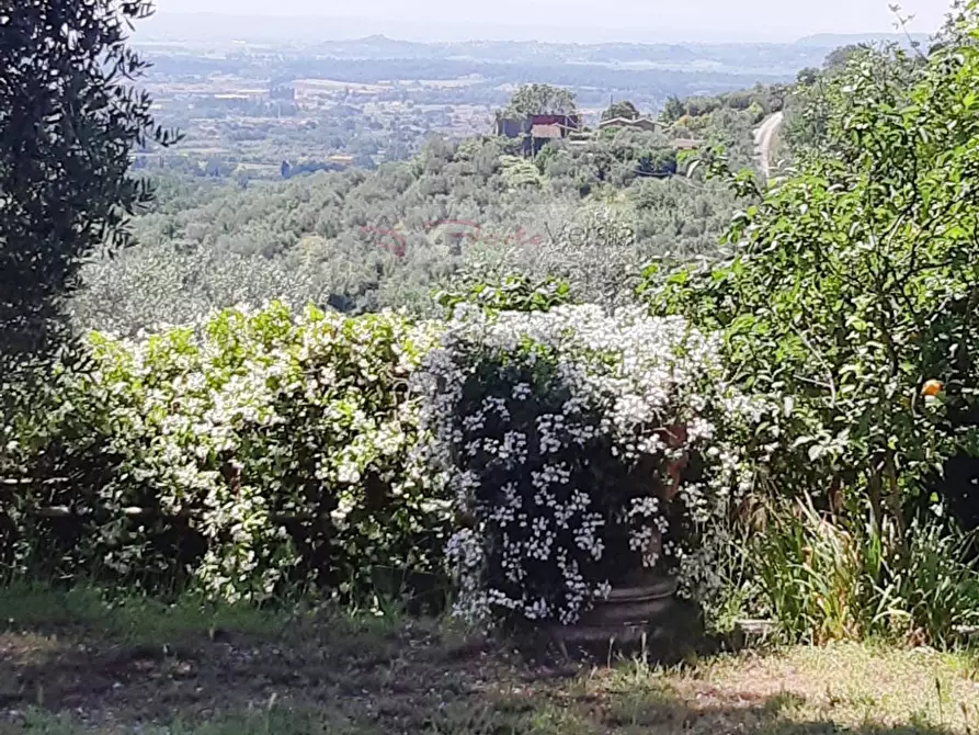 Immagine 14 di Rustico / casale in vendita  a Monsummano Terme