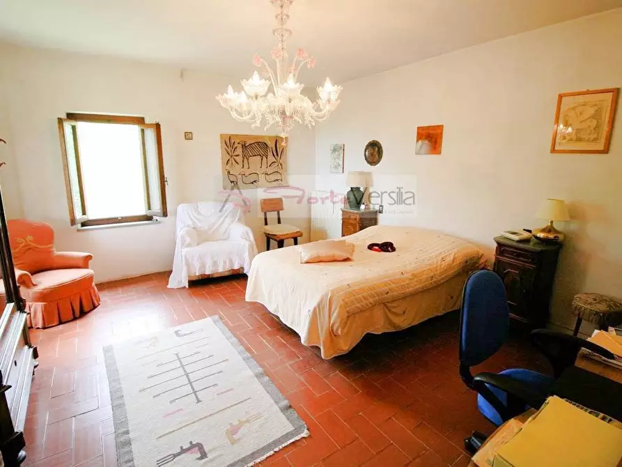 Immagine 8 di Rustico / casale in vendita  a Monsummano Terme