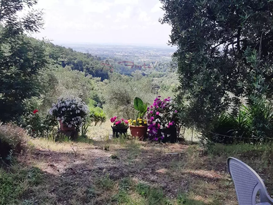 Immagine 15 di Rustico / casale in vendita  a Monsummano Terme