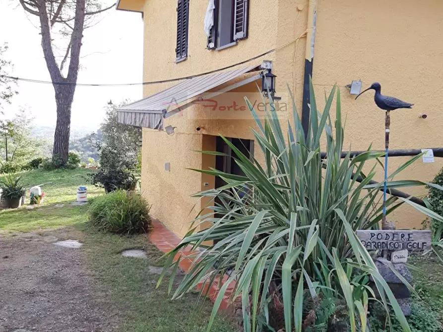 Immagine 5 di Rustico / casale in vendita  a Monsummano Terme