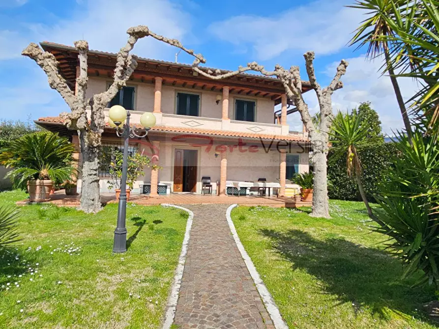 Immagine 1 di Villa in affitto  a Forte Dei Marmi