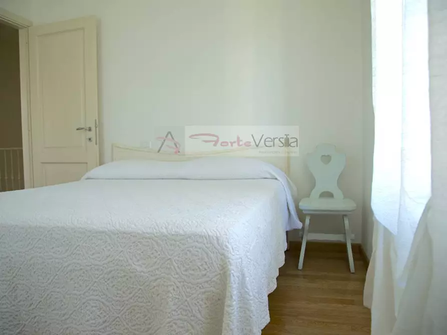 Immagine 15 di Villa in vendita  a Pietrasanta