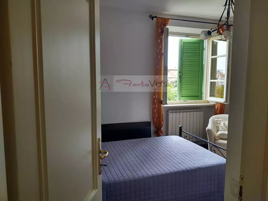 Immagine 21 di Casa indipendente in vendita  a Seravezza