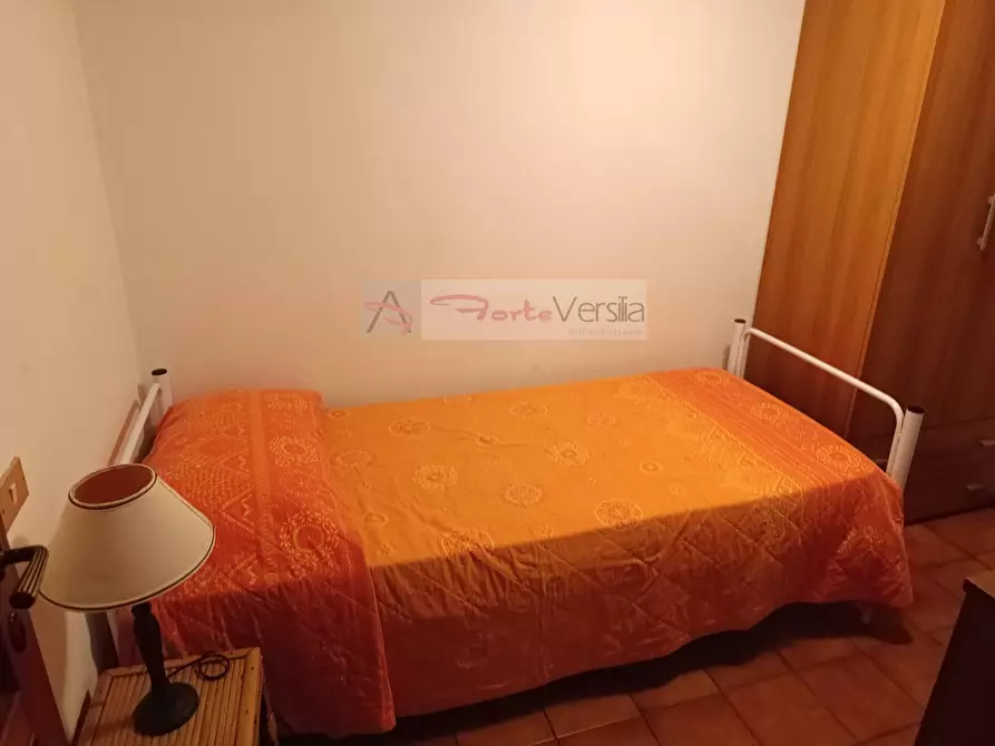 Immagine 23 di Villa in vendita  a Forte Dei Marmi