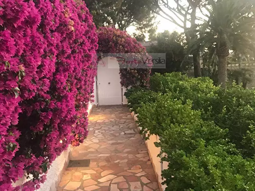 Immagine 7 di Appartamento in vendita  a Ischia