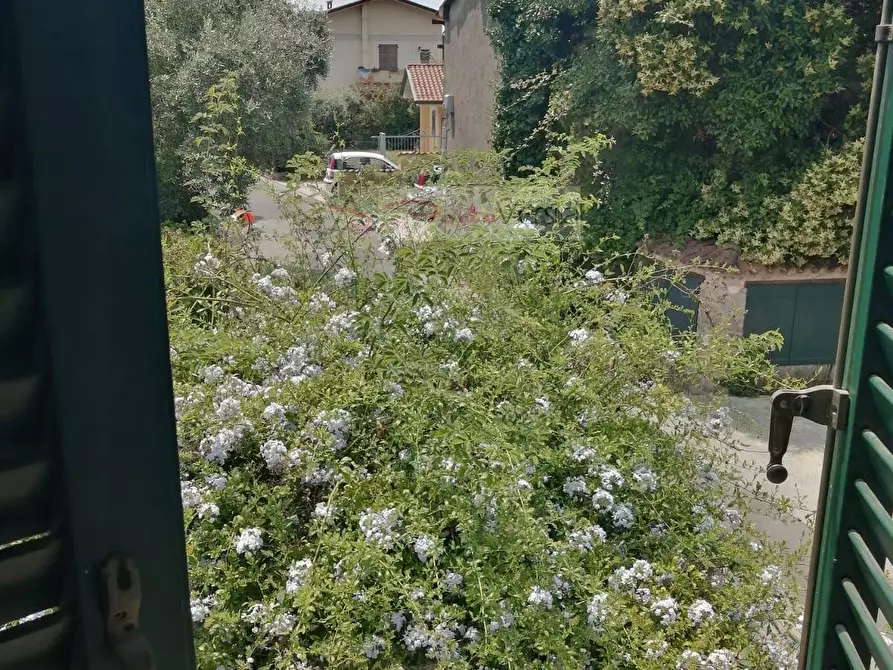 Immagine 27 di Villa in vendita  a Massa