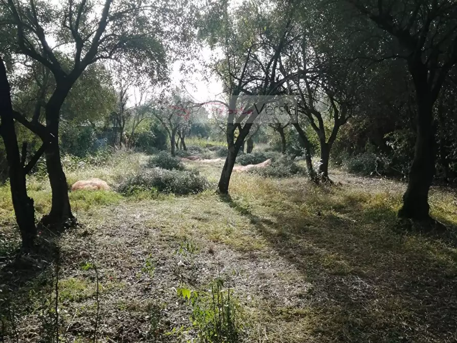 Immagine 29 di Villa in vendita  a Massa