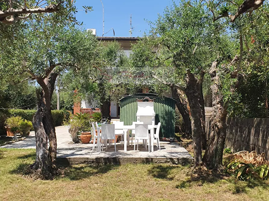 Immagine 1 di Casa indipendente in affitto  a Forte Dei Marmi