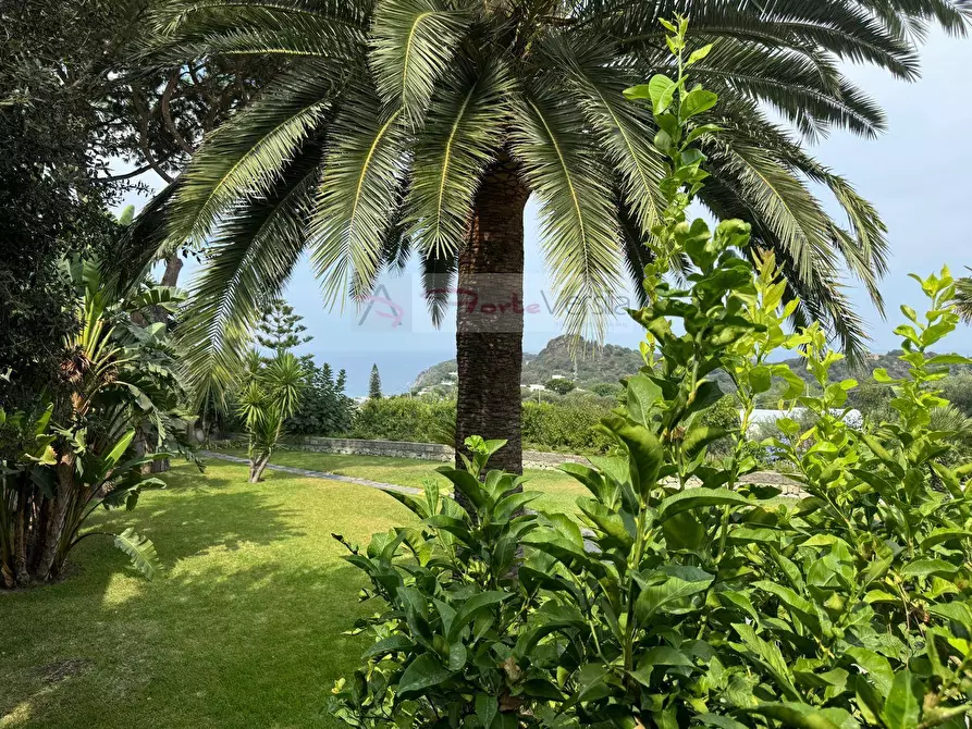 Immagine 14 di Appartamento in vendita  a Ischia