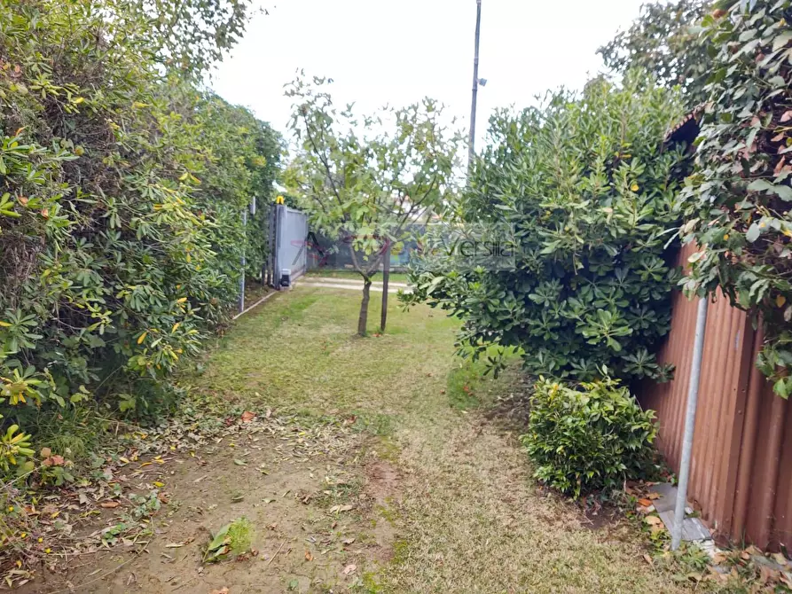 Immagine 6 di Rustico / casale in vendita  a Camaiore